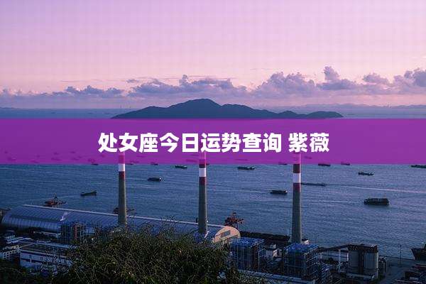 处女座今日运势查询 紫薇
