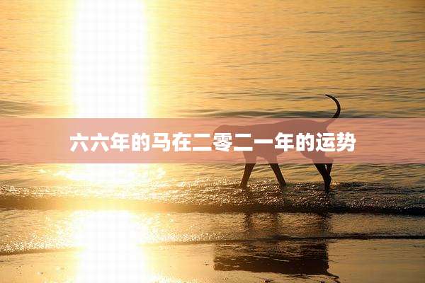 六六年的马在二零二一年的运势
