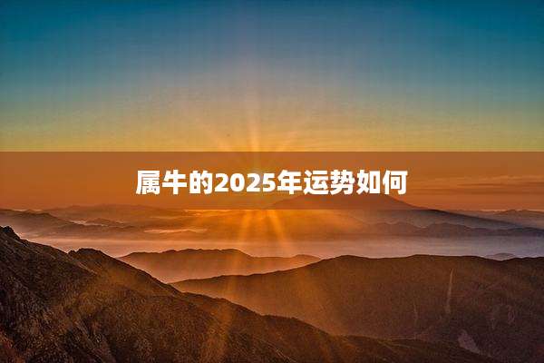 属牛的2025年运势如何