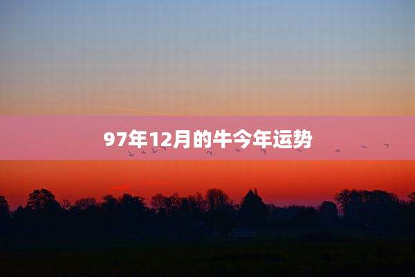 97年12月的牛今年运势