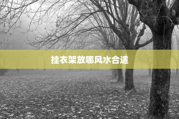 挂衣架放哪风水合适