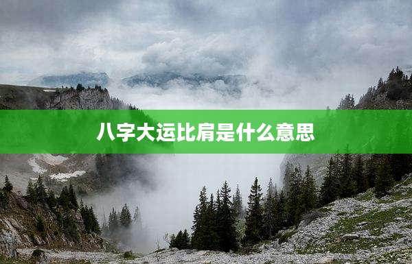 八字大运比肩是什么意思