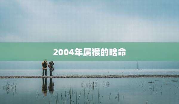 2004年属猴的啥命