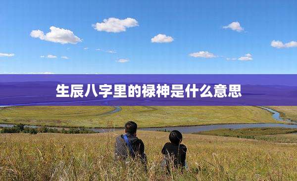 生辰八字里的禄神是什么意思