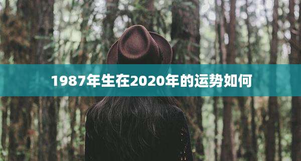 1987年生在2020年的运势如何