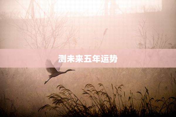 测未来五年运势