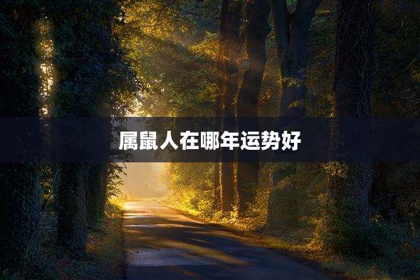 属鼠人在哪年运势好