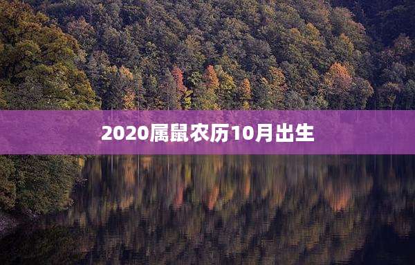 2020属鼠农历10月出生