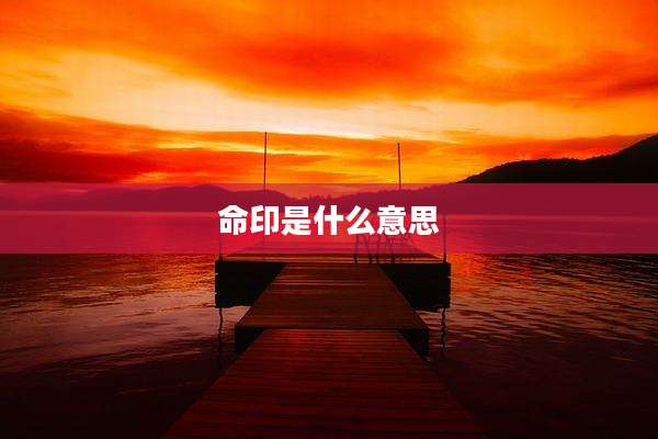 命印是什么意思