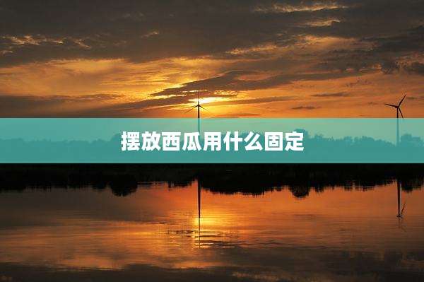 摆放西瓜用什么固定