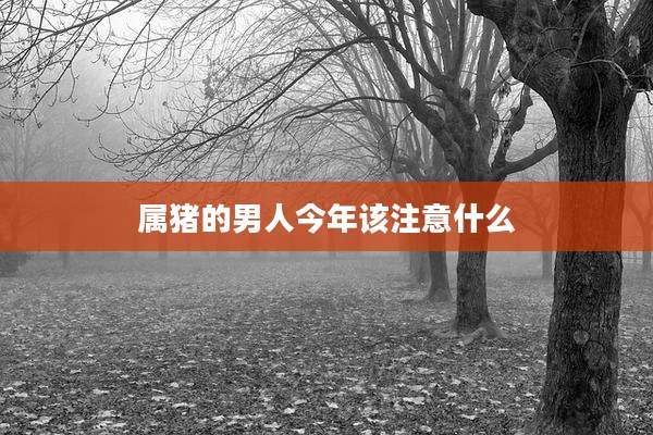 属猪的男人今年该注意什么