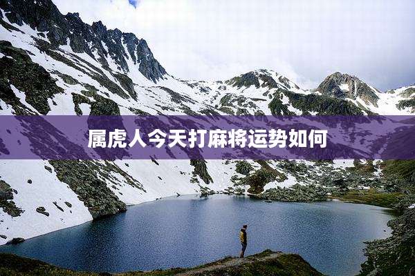 属虎人今天打麻将运势如何