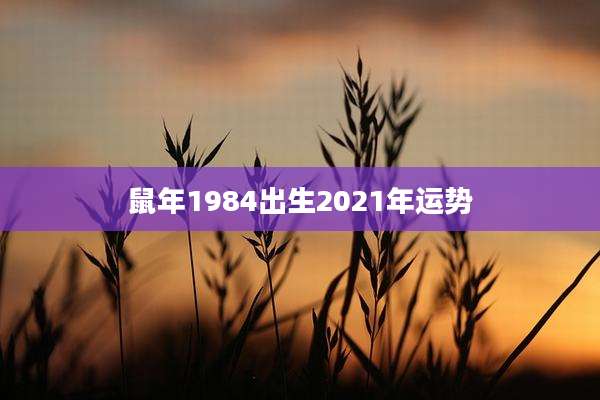 鼠年1984出生2021年运势