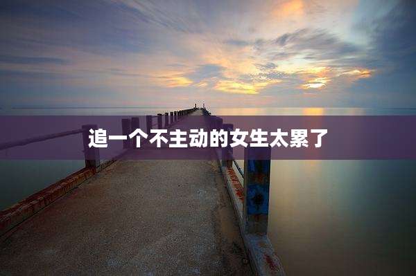 追一个不主动的女生太累了