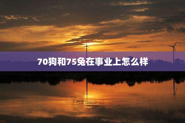 70狗和75兔在事业上怎么样