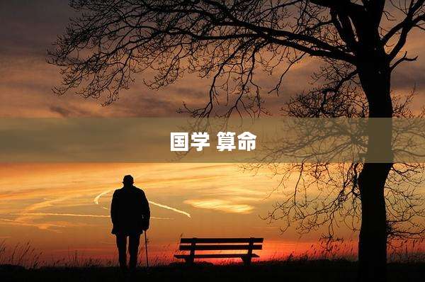 国学 算命