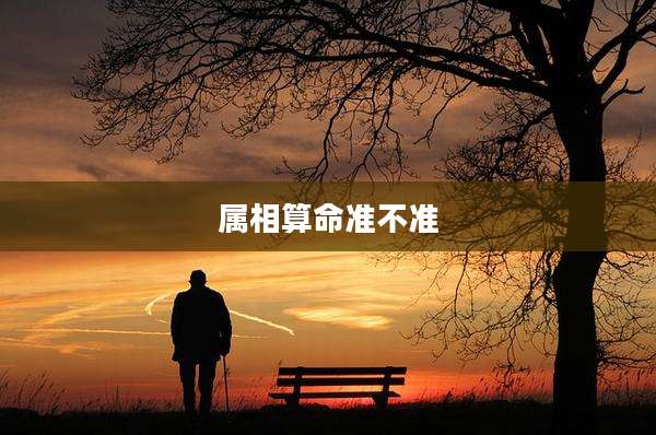 属相算命准不准