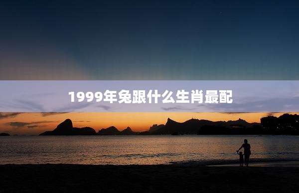 1999年兔跟什么生肖最配