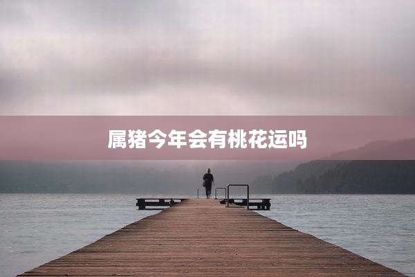 属猪今年会有桃花运吗