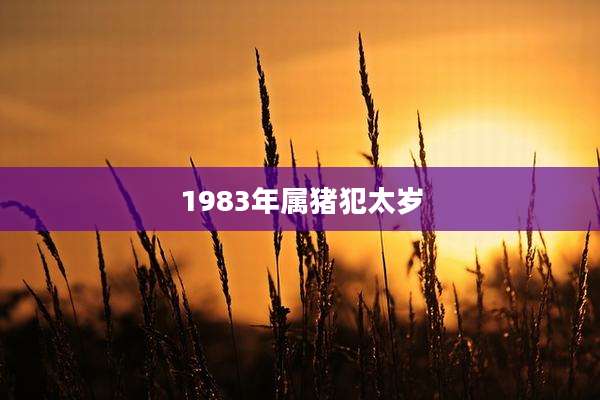 1983年属猪犯太岁