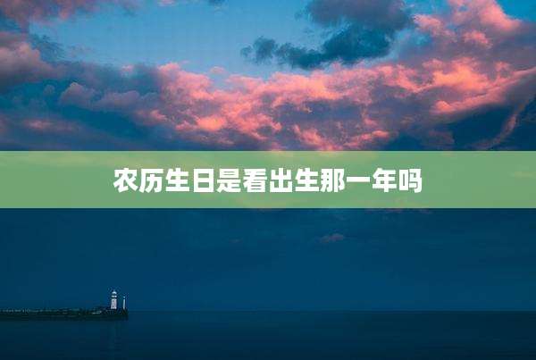农历生日是看出生那一年吗