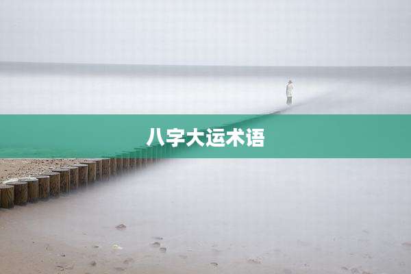 八字大运术语