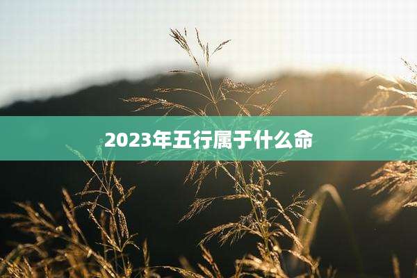 2023年五行属于什么命
