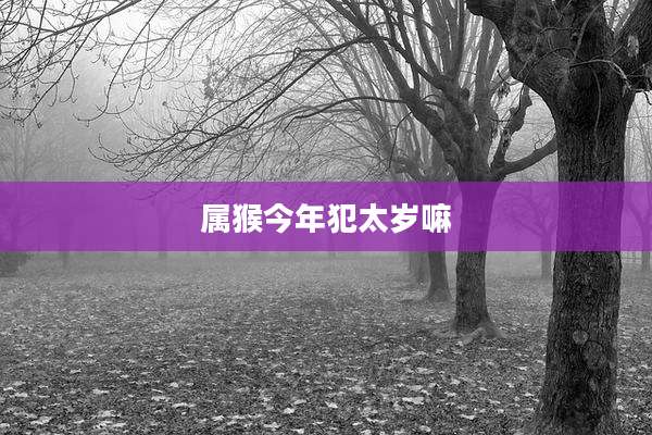属猴今年犯太岁嘛