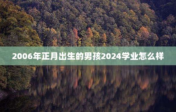 2006年正月出生的男孩2024学业怎么样