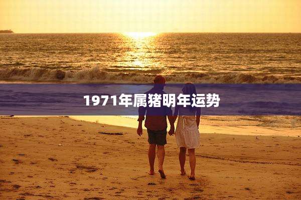 1971年属猪明年运势