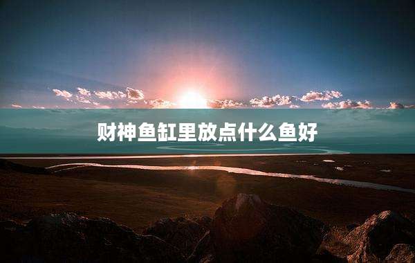 财神鱼缸里放点什么鱼好