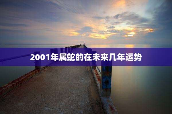 2001年属蛇的在未来几年运势