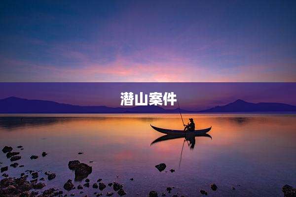潜山案件