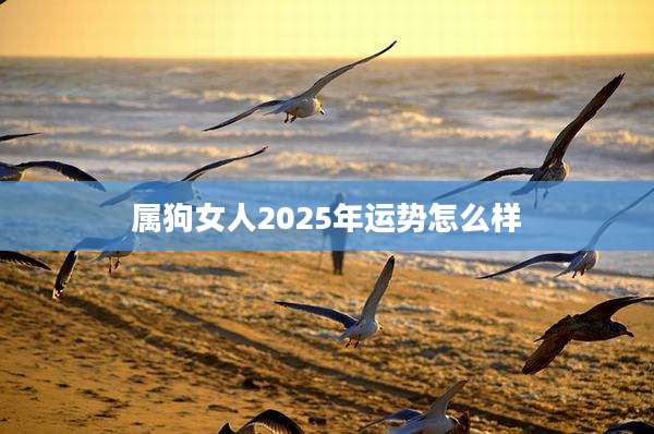 属狗女人2025年运势怎么样