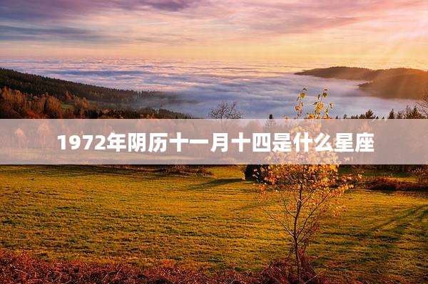 1972年阴历十一月十四是什么星座