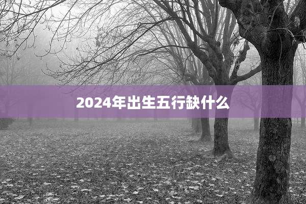 2024年出生五行缺什么