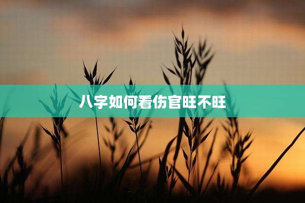 八字如何看伤官旺不旺