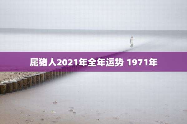 属猪人2021年全年运势 1971年