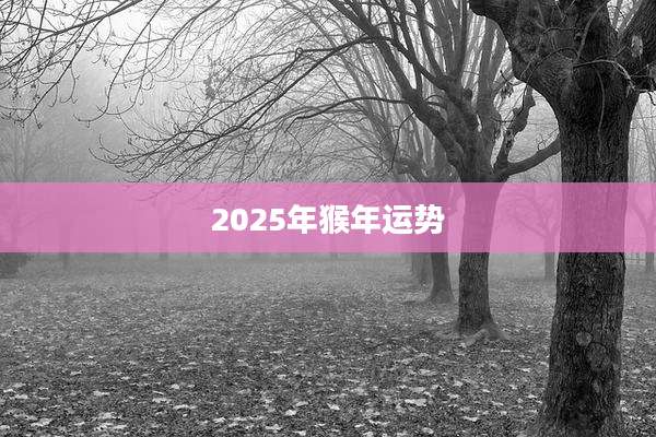 2025年猴年运势