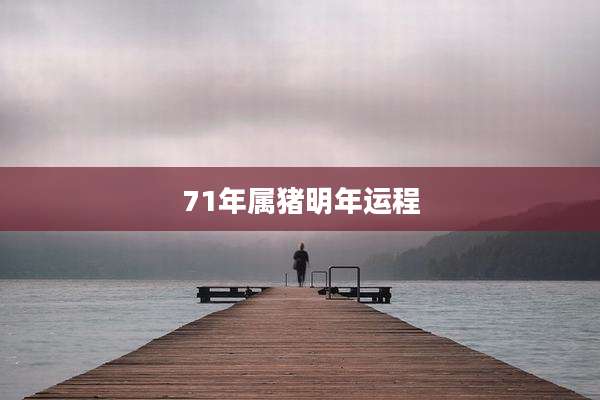 71年属猪明年运程