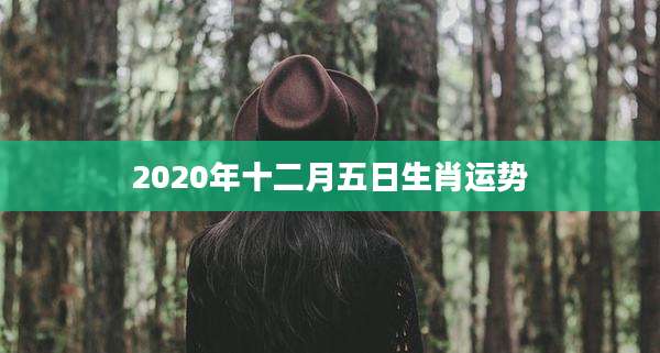 2020年十二月五日生肖运势