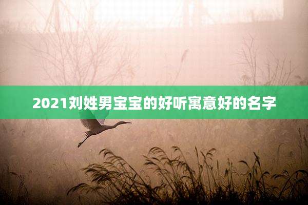 2021刘姓男宝宝的好听寓意好的名字