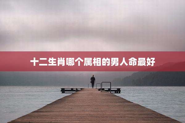 十二生肖哪个属相的男人命最好
