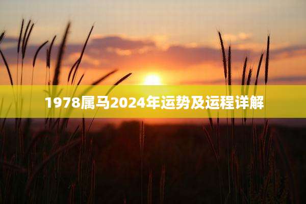 1978属马2024年运势及运程详解