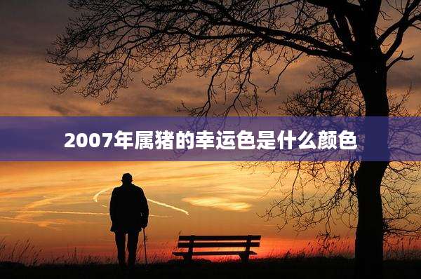2007年属猪的幸运色是什么颜色