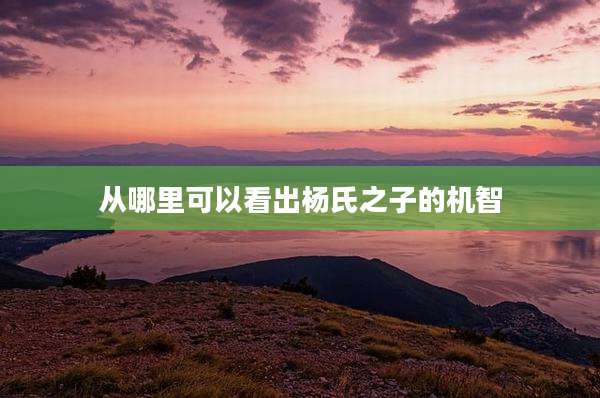 从哪里可以看出杨氏之子的机智