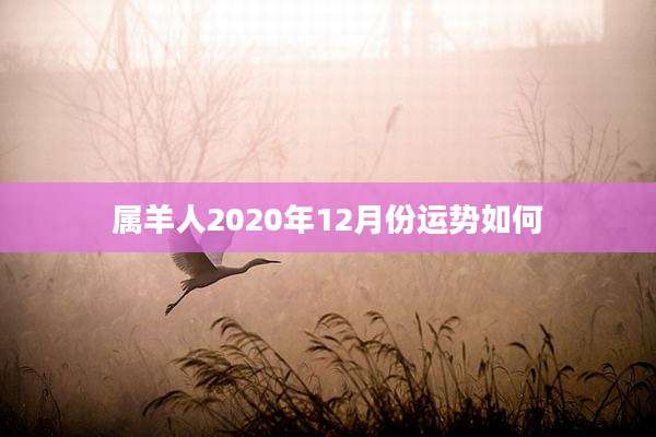 属羊人2020年12月份运势如何