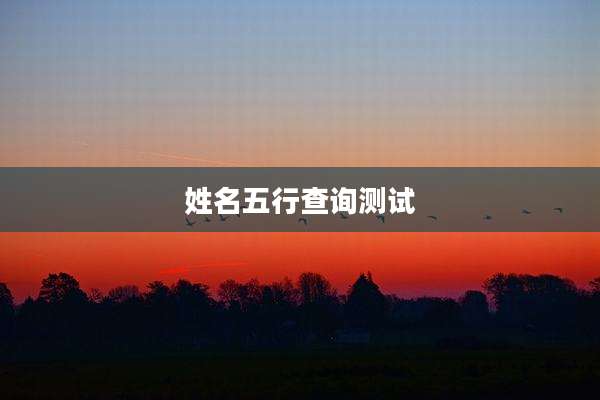 姓名五行查询测试