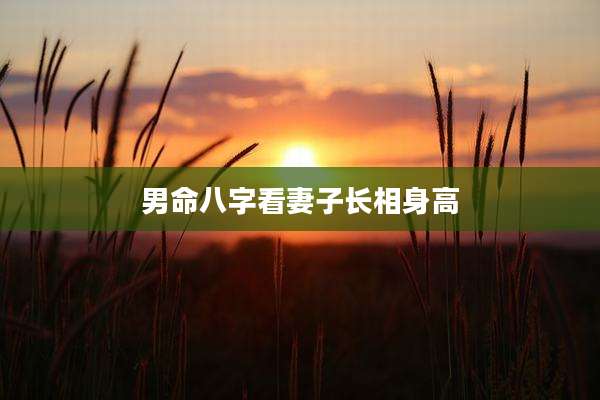 男命八字看妻子长相身高