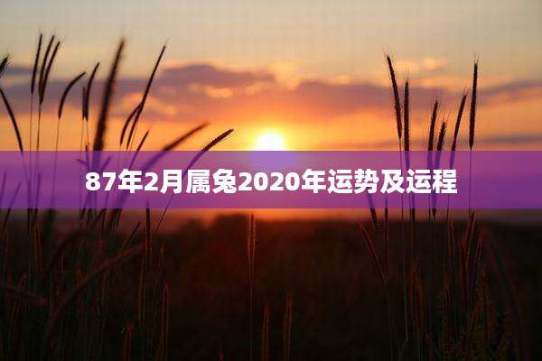 87年2月属兔2020年运势及运程